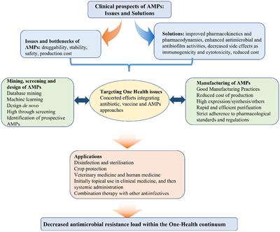 Editorial: Community series in antimicrobial peptides: Molecular design, structure function relationship and biosynthesis optimization